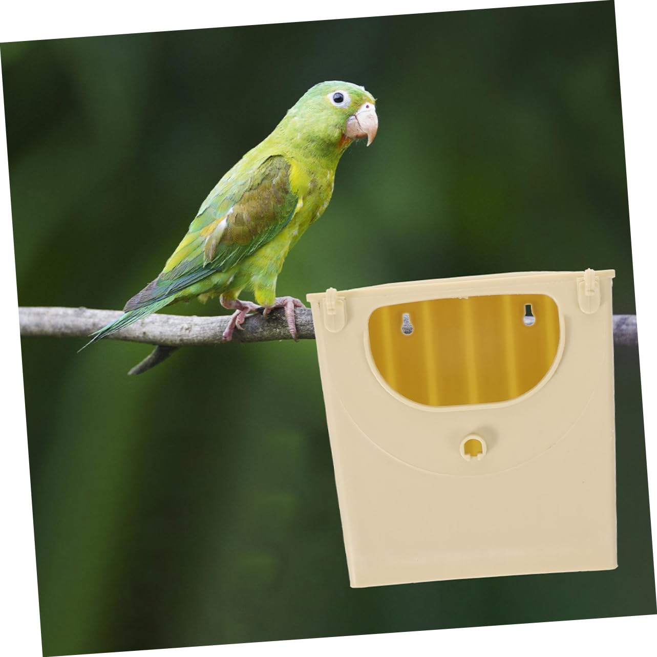 Toddmomy Nistkasten Leicht und Einfach zu Reinigen aus Kunststoff 5 Stück für Kleine Vögel und Nymphensittiche für Vogelzucht im Außenbereich