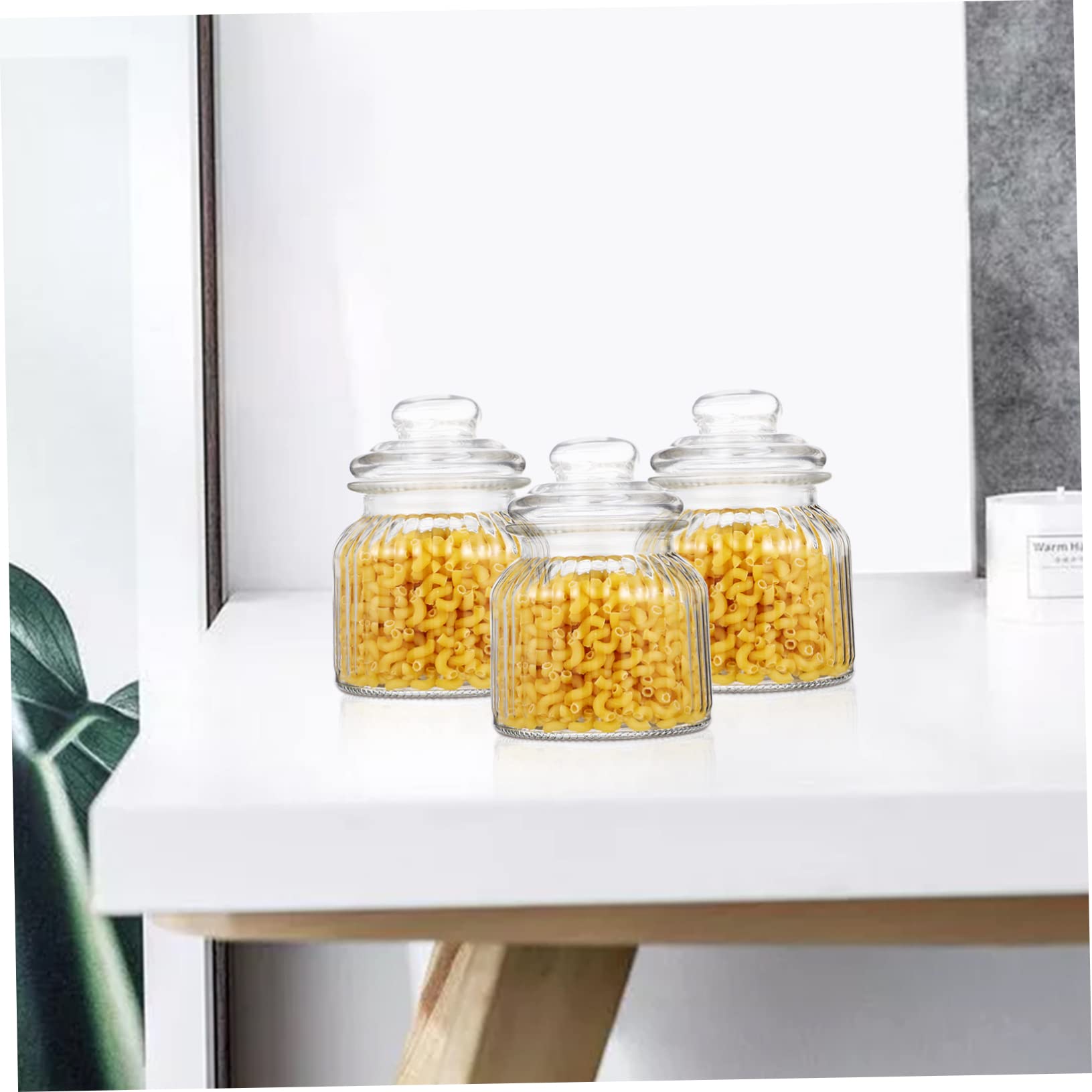 2 Stück Einmachgläser aus Glas 650ml mit Deckel Luftdichte Vorratsdosen für Trockenfrüchte und Kekse Spülmaschinenfest für Party und Haushalt