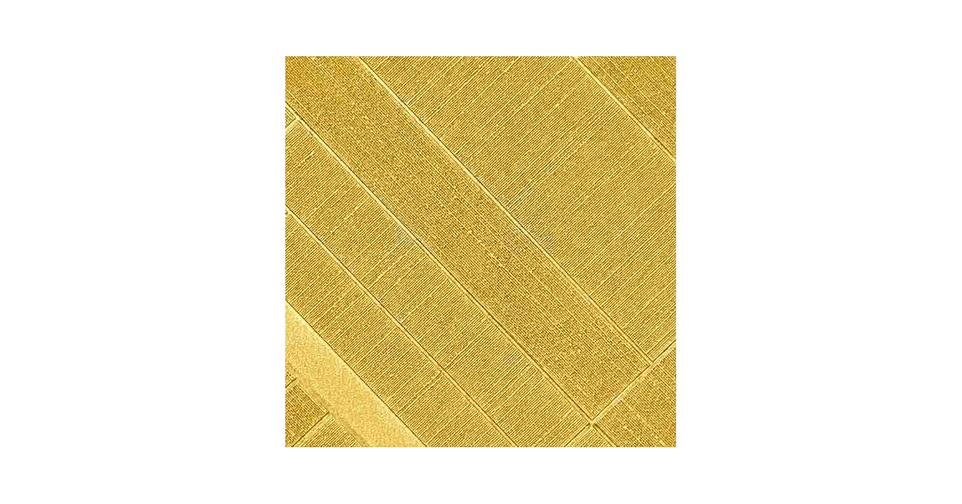 fさう様⑅/20 4945269406612.jpg