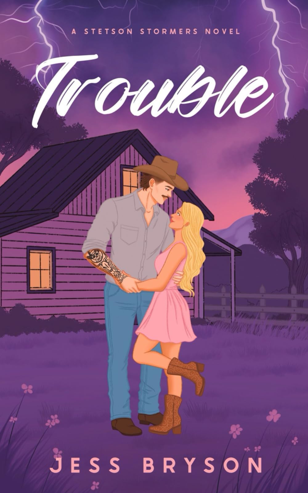 Trouble: A Stetson Stormers Series (A Stetson Stormers Novel)