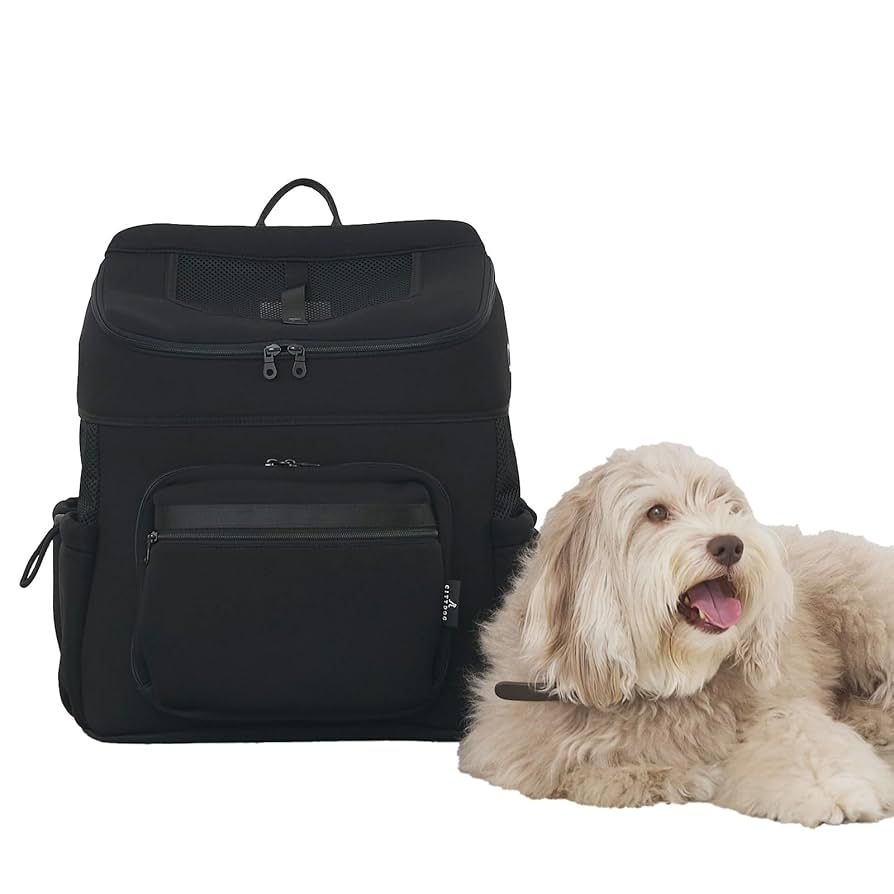 【 citydog / シティドッグ 】ネオプレーン バックパック キャリー CITYDOG(シティドッグ) ネオプレーンバックパックキャリー