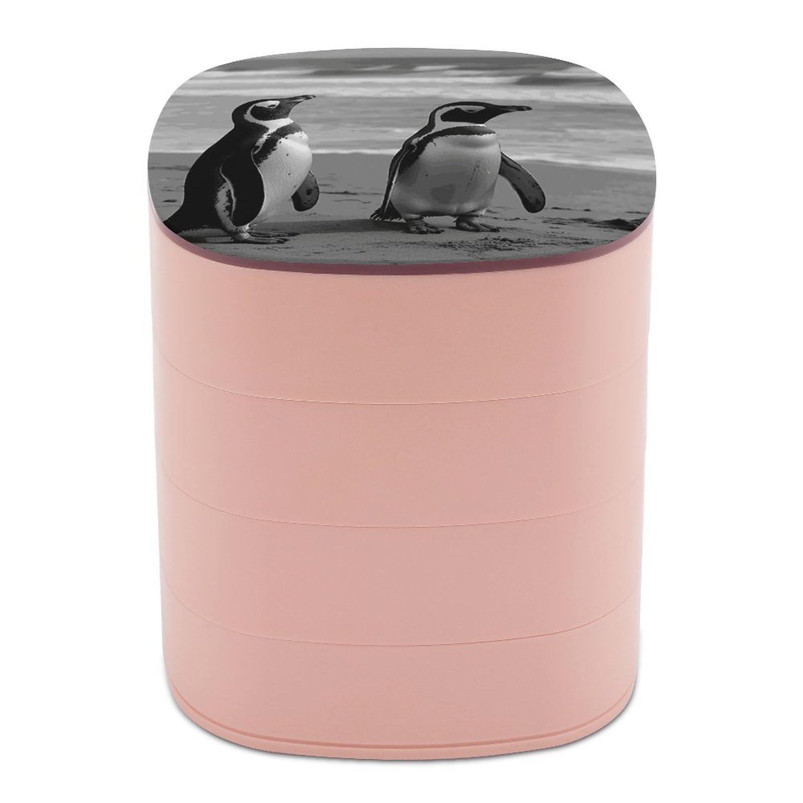 JTREHY Penguin Standing on The BeachJewelry Box 4-Layer Rotating Stronge Boxs Round Travel Jewelry Case with Lid for Bracelets Rings Bracelets, Gift for Women