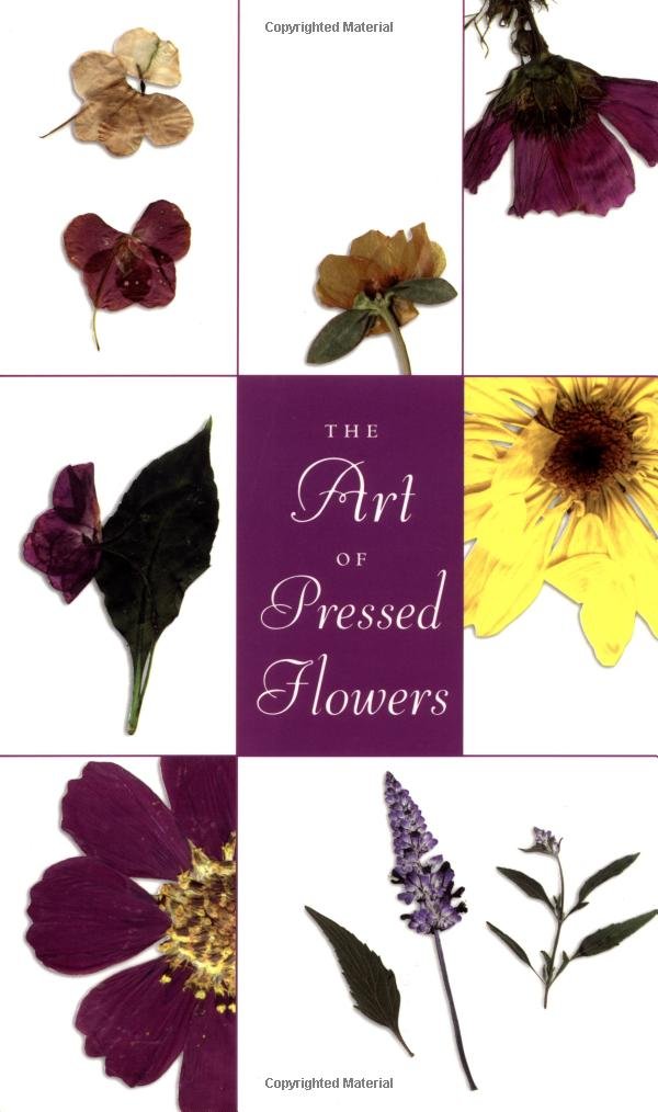Art Of Pressed Flowers A Complete Portfolio Lawrence, Mary 9780762412297 Books