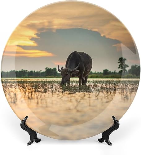 Miniatura 18 de Plato decorativo para exhibición, placa de rana, placa redonda de cerámica, platos conmemorativos con soporte, adorno de porcelana para decoración