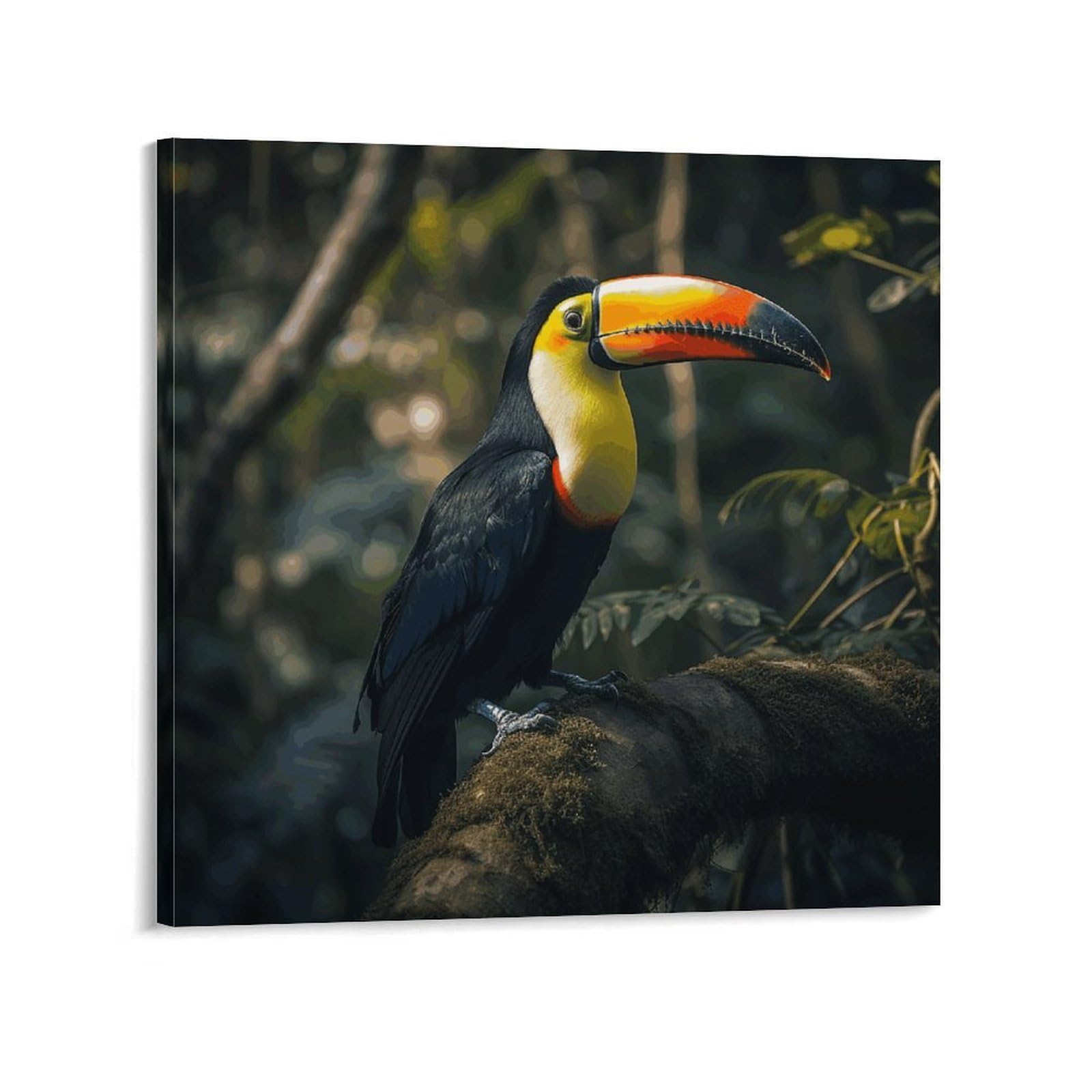 Colorful Toucan Canvas Wall Art for Bedroom 20x20inch(50x50cm) Canvas Prints Artwork for Walls Modern Picture Artwork Painting for Living Room Aesthetic Wall Paintings for Bathroom Kitchen Office Deco