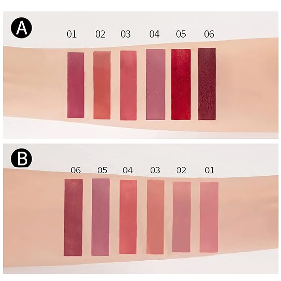 HANDAIYAN Matte Liquid Lipstick Makeup Set (A)