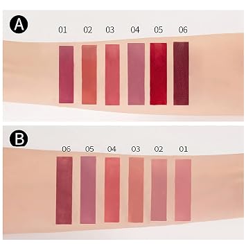 HANDAIYAN Matte Liquid Lipstick Makeup Set (A)