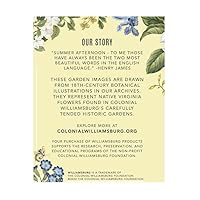 Vista 5 de Harney & Sons Mezcla de Tarde de Verano Colonial Williamsburg Té Verde con Sabores Florales y Frutales