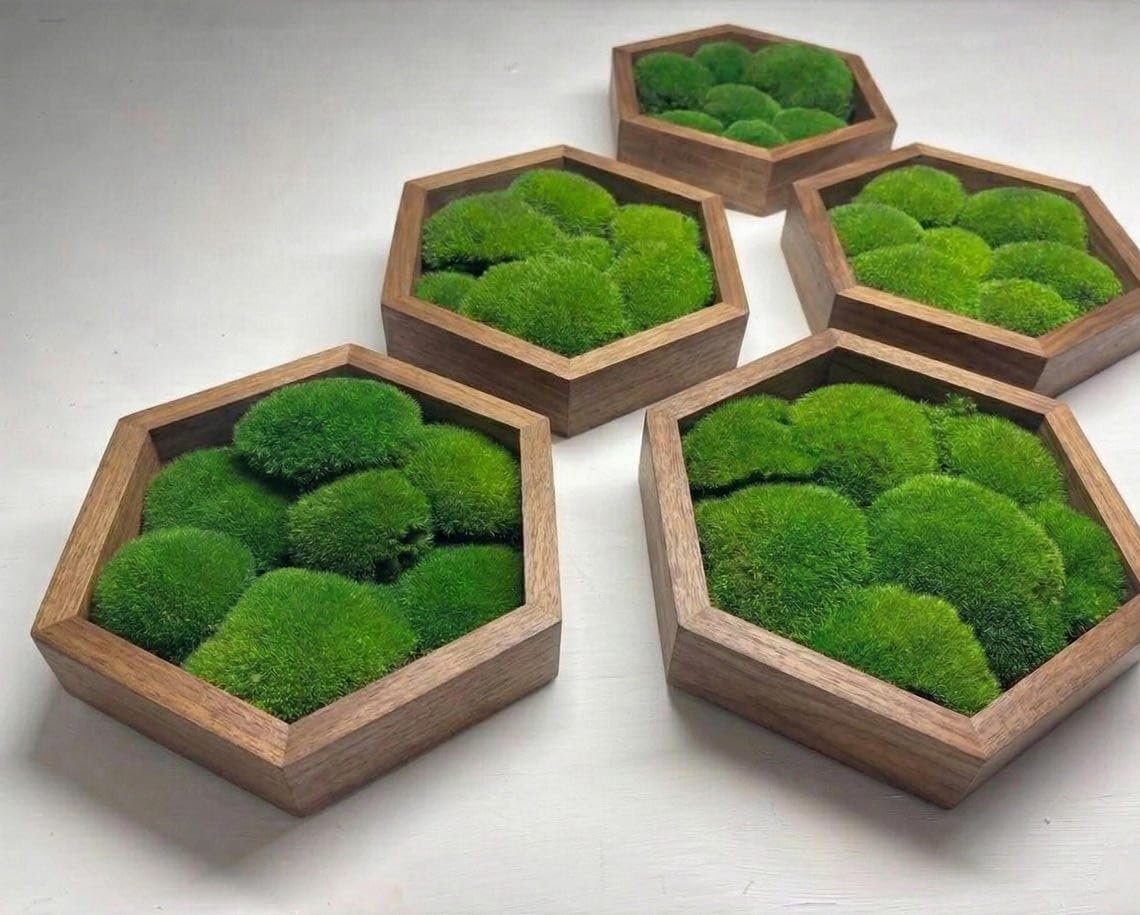 Moss Hexagons