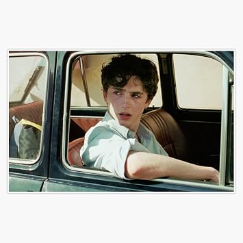 Call Me by Your Name Timothee Chalamet Elio Perlman Bumper Sticker Vinyl Decal 5"