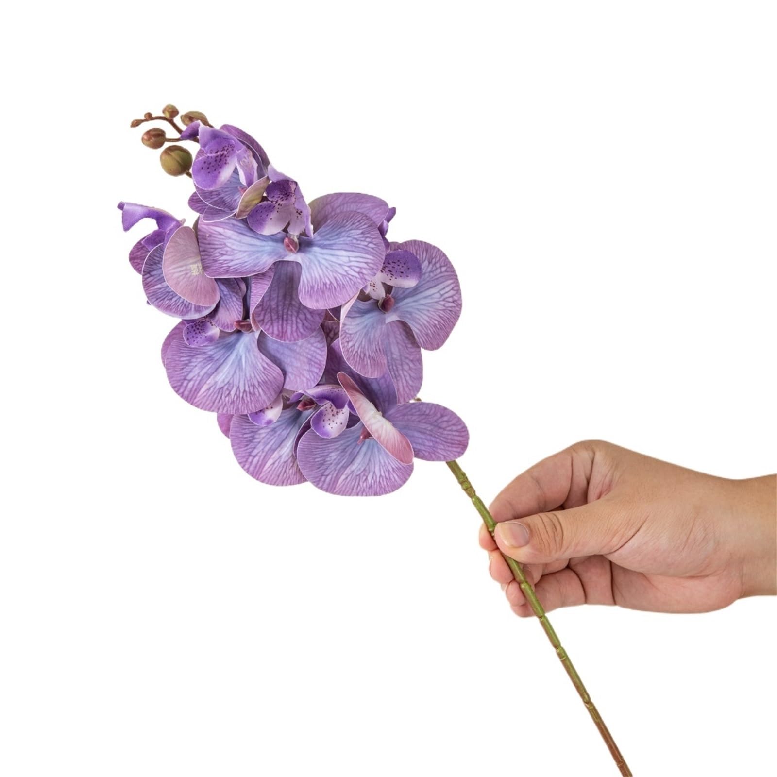 DSFVERVD Artificial Butterfly Orchid Artificial Flowers Silk Moth Orchid