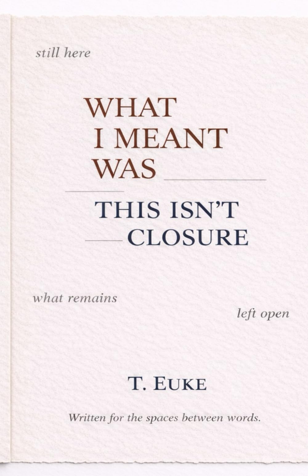 What I Meant Was This Isn’t Closure.: 2 (The Quiet Things Series a collection of reflection-based books)