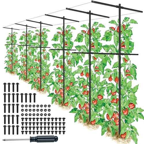 6 Pack Metal Detachable Raspberry & Grape Vine Trellis for Climbing Plants, Heavy-Duty 7 Ft Tall Large Vineyard Trellis Support, Sturdy Garden Stakes for Outdoor Raised Beds Vegetables Fruits Flowers