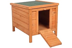 20-Inch Wooden Chicken Coop: The Perfect Small Animal Home