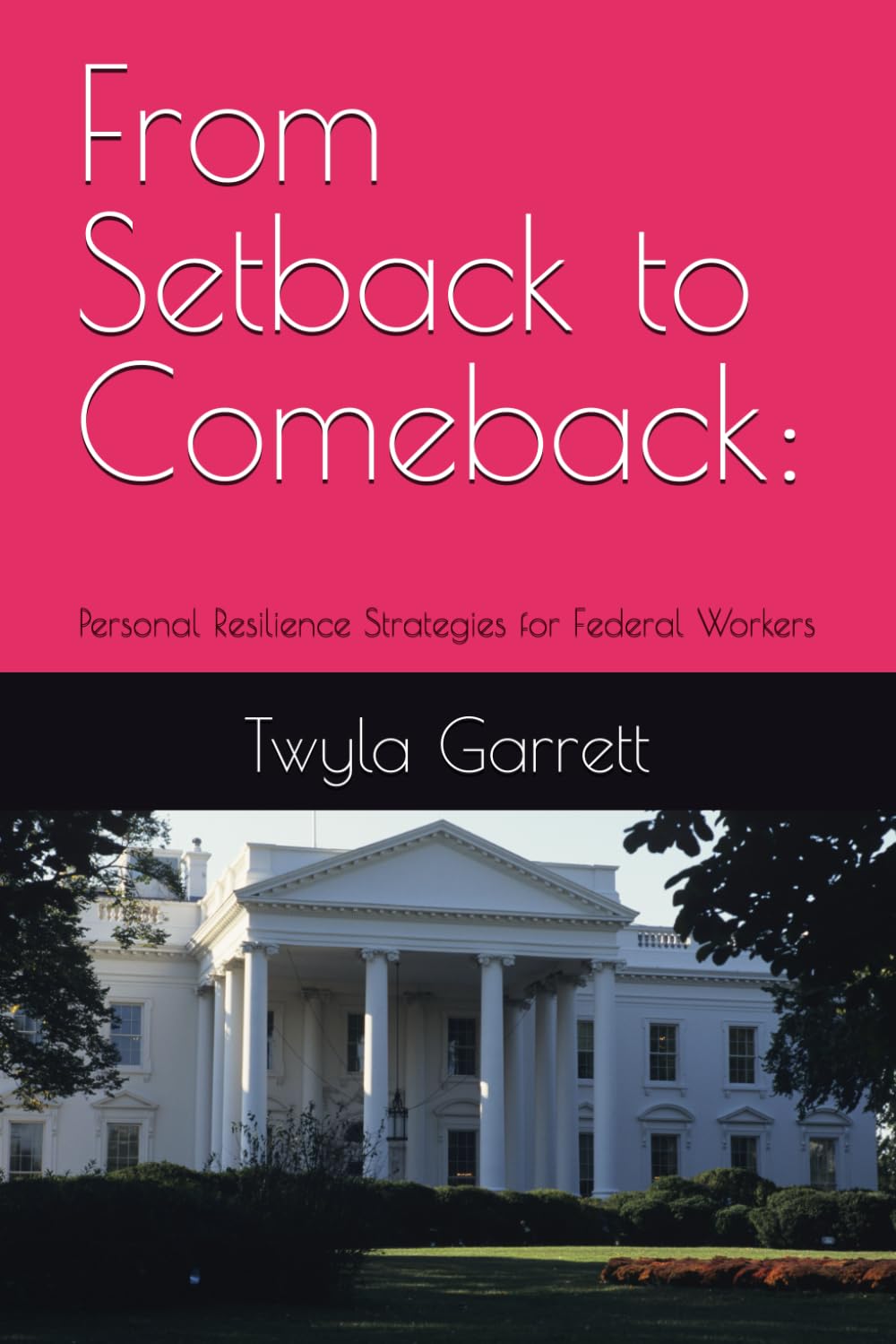 From Setback to Comeback:: Personal Resilience Strategies for Federal Workers (From Federal Employee to Founder)