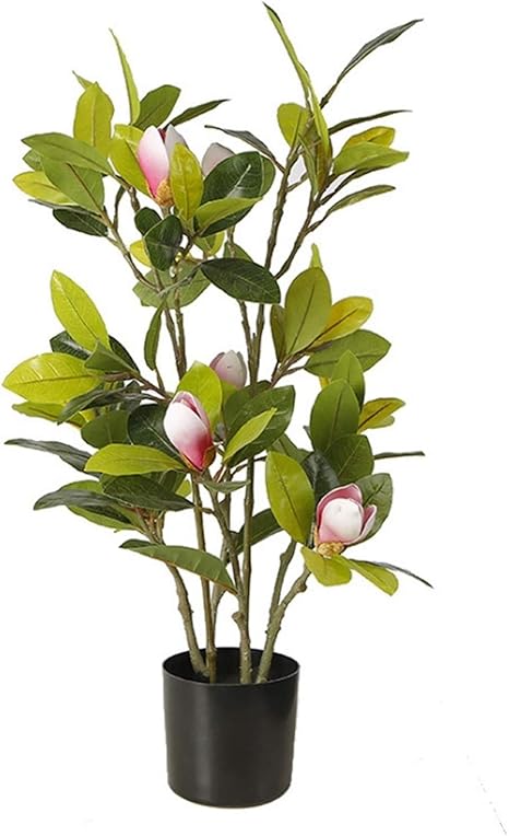 Amazon 人工観葉植物 人工的なマグノリアの木 屋内および屋外の庭の剪定シミュレーションの木 現実的な緑豊かな葉 ホームオフィスやレストランに適した 人工植物盆栽ツリー偽の盆栽 人工観葉植物 オンライン通販 Amazon 人工観葉植物 人工的なマグノリアの木 屋内および屋外の庭の剪定シミュレーションの木 現実的な緑豊かな葉 ホームオフィスやレストランに適した 人工植物盆栽ツリー偽の盆栽 人工観葉植物 オンライン通販