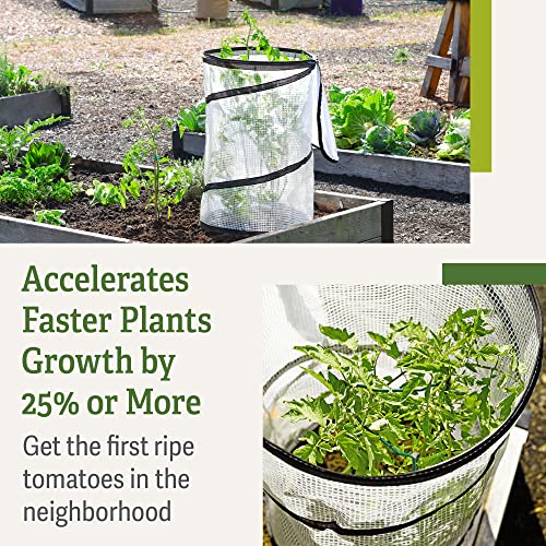 Gardeners Supply Company Pop-Up Tomato Accelerator Plant Cage | Mini Greenhouse For Raised Garden Bed & Vegetable Gardens - Young Tomato Plants & Other Seedlings Plant Protector | ​18"D X 28"H #TOP4
