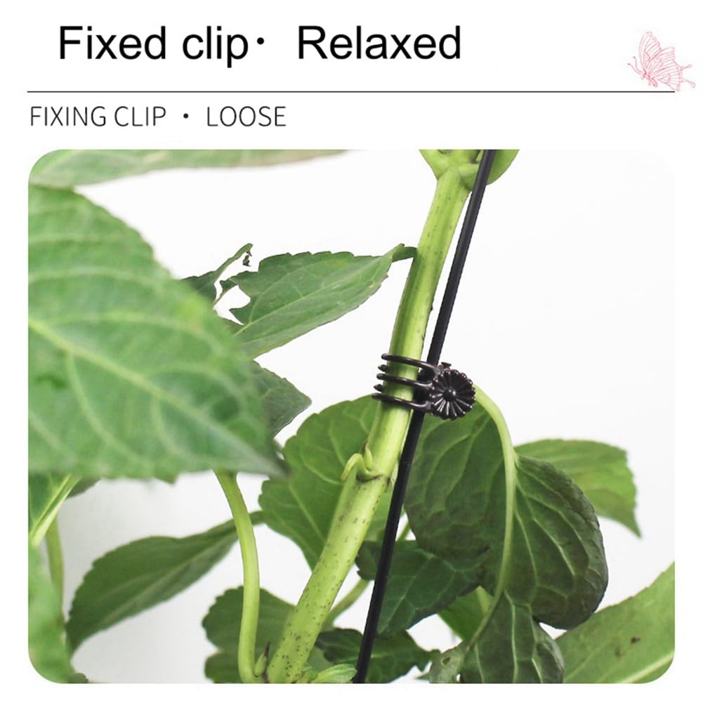 10 supporti per piante da appartamento con 10 clip, 50 cm, in