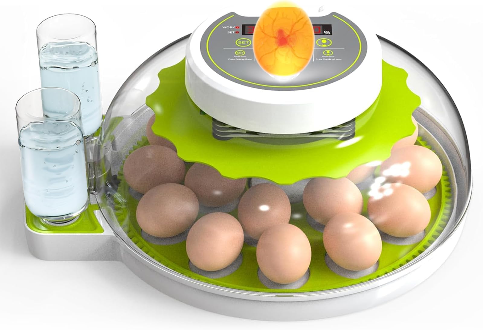 Meuiosd Egg Incubator, 18-36 Eggs Incubator with Auto Egg-turning, Automatic Egg Turner with Temperature Control, Egg Candler, Poultry Incubator for Hatching Chicken Quail Duck Parrot, FDQ-18