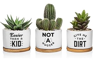 Funny Succulent Pots: The Plant Parent's Dream