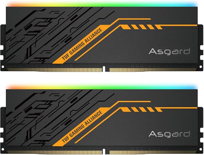 Amazon.com: Asgard: DDR5 RAM