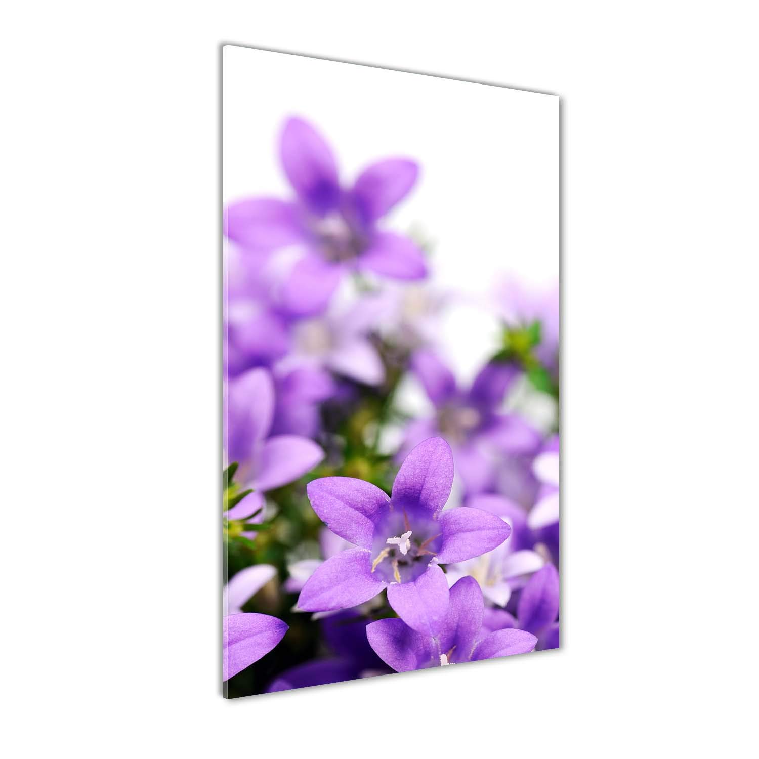 Cloches pourpres mural art sur acrylique pour raviver un mur blanc terne