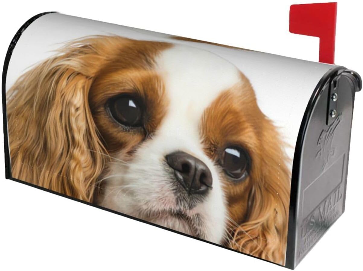 Cavalier King Charles Spaniel Dog Magnetic Mailbox Cover Standard Size Post Box for Outdoor Garden Yard Home Decor 21x18 in
