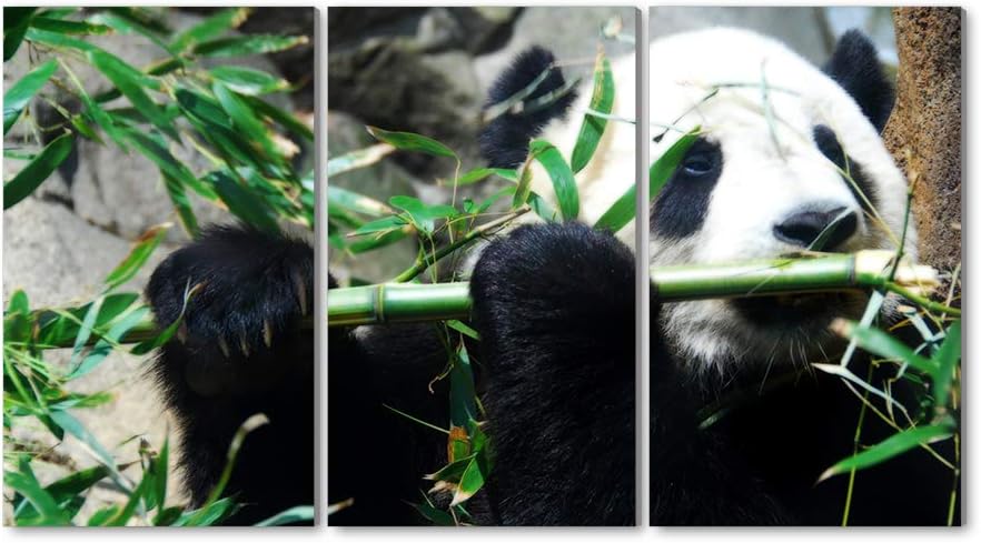 3枚セット アートパネル 壁掛け絵画 インテリアアート キャンバス 現代 壁飾り クリスマスファッション 部屋飾り 壁ポスター 絵画 おしゃれ モダン 雑貨 玄関 プレゼント アートフレーム ギフト パンダと竹 壁掛け