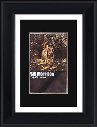 Marco de fotos de cinta de casete, almacenamiento de cinta de casete, marco de exhibición de cassette, con forro de espuma EVA y acabado negro,