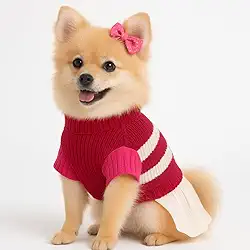 Roupa Vestido Pet Tricot Roupinha Femea Cachorro Gato