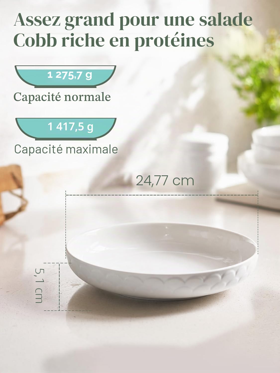 DOWAN Assiettes Creuses, 4 X 1600ml Assiettes Plate à Pâtes en Porcelaine, Bols de Service Grande à Dîner pour Pâtes/Soupe/Salade/Dessert/Fruit/Gâteau, Passe au Micro-ondes et Au Lave-vaisselle-25cm