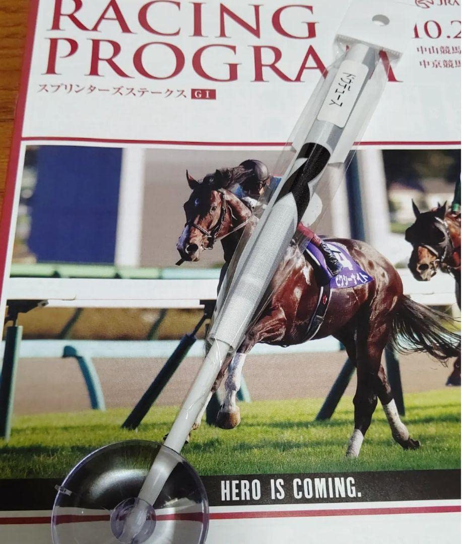 Amazon.co.jp: ドウデュース凱旋門賞応援フラッグ JRA 競馬グッズ