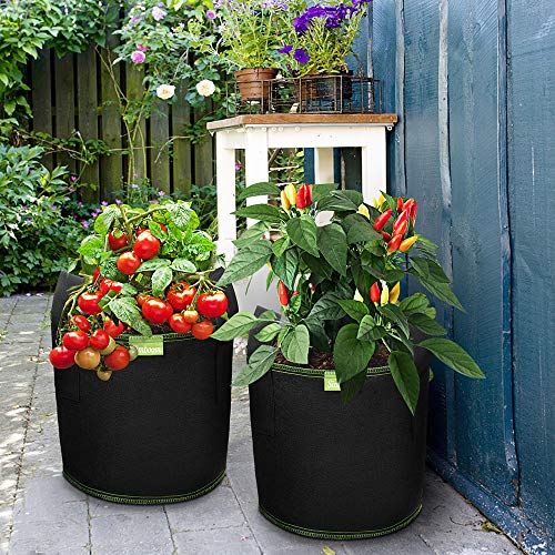 SIMBOOM Plant Grow Bags for Vegetables, 5 Pack 3 Gallon Tomato Flower Plant Container with Handles, Non-Woven Aeration Plant Fabric Pot Outdoor Indoor, Black