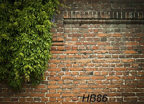 Lb 7X5Ft Spring Ivy Covered Brick Wall Photography Backdrop Green Leaf Backdrop Kids Adult Art Portrait Photo Background Birthday Party Cake Banner Customized Photo Shoot Studio Props #TOP3