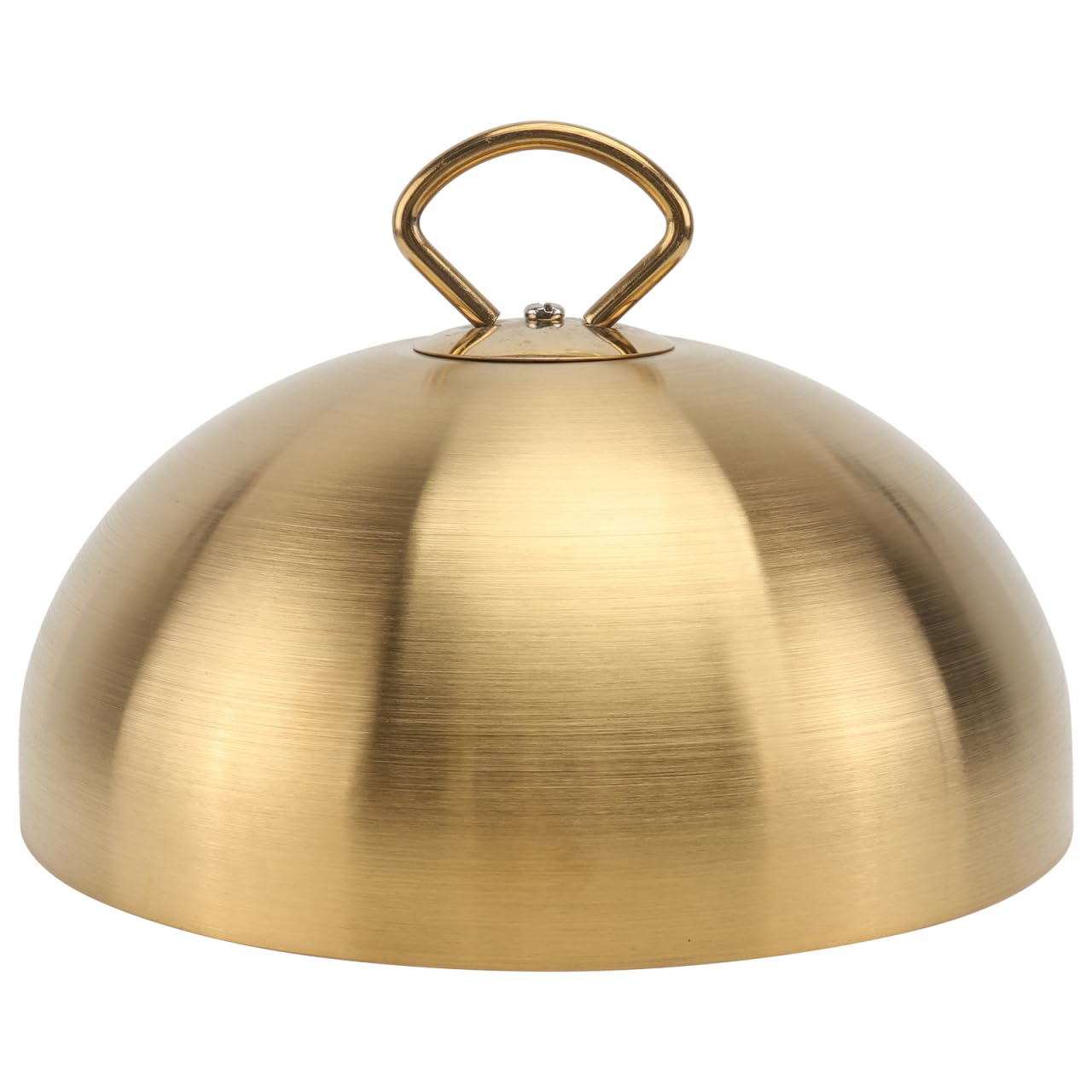 HEMOTON - Tapa de carne gruesa de acero inoxidable sin imán dorado, 20 cm, campana de protección alimentaria para hotel, uso de barbacoa de cocina profesional,