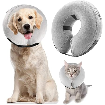 dog cone fitting