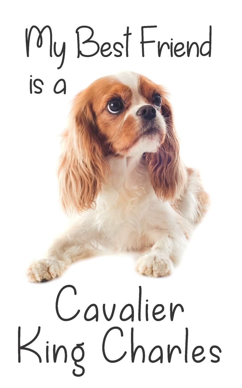 My best Friend is a Cavalier King Charles Spaniel: 8” x 5” Blank lined Journal Notebook 120 College Ruled Pages (Best Friends)