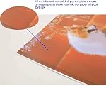 Koala Double Side Glossy Photo Paper 8.5x11 Inches 120gsm 100 Sheets Compatible with Inkjet Printer