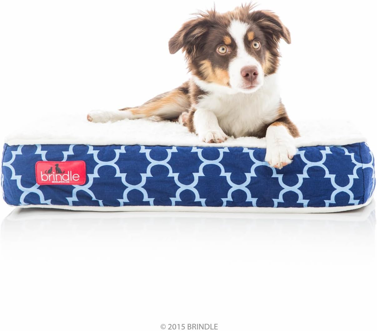 Brindle Waterproof Designer Memory Foam Pet Bed-Removable Machine Washable Cover-4 Inch Orthopedic Pet Bed-Joint Relief, Navy Trellis, Small
