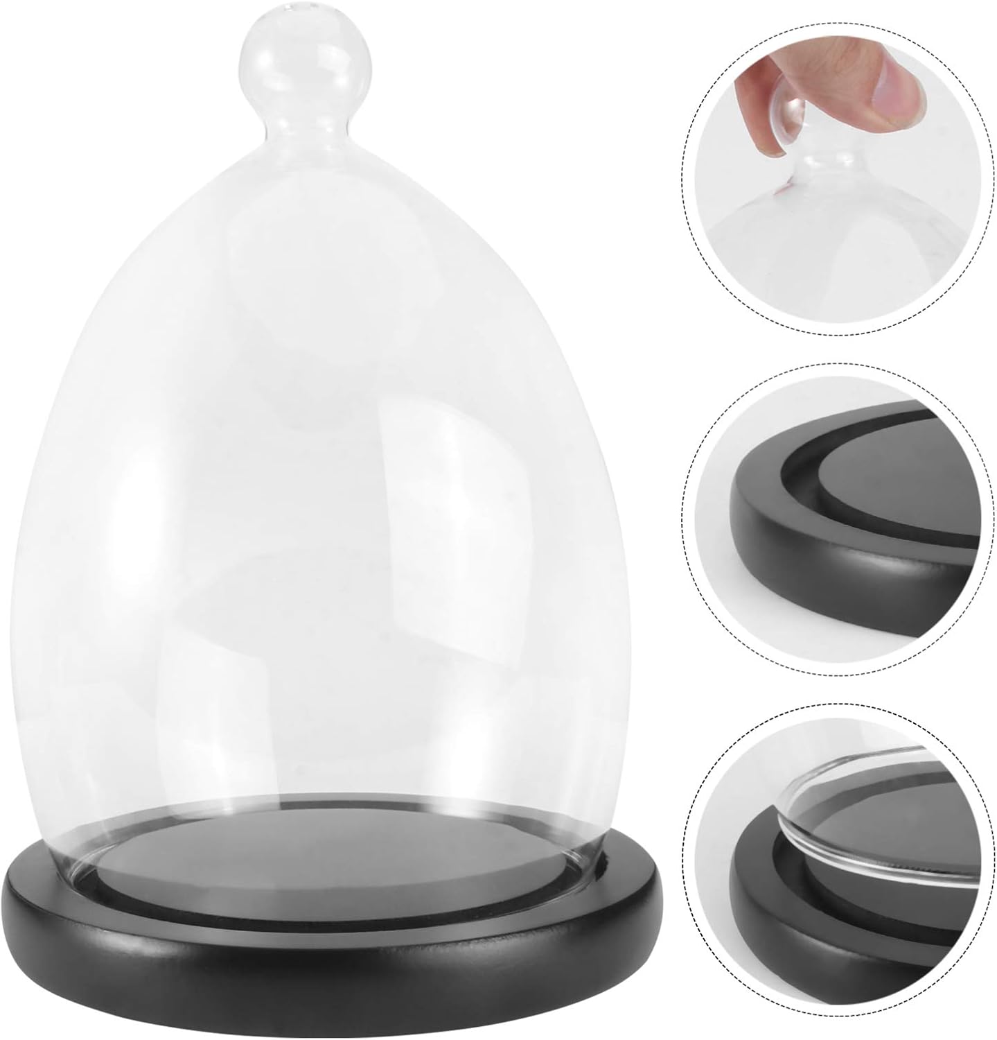 BESPORTBLE 1 Set of Clear Glass Dome Cloche with Wooden Base Antique Bell Jar Display Dome for Plants Succulents Fairy Lights Photos Micro Landscape Black - Image 4