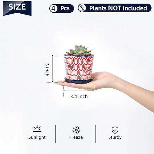 Miniatura 3 de Selamica Macetas de cerámica para suculentas, macetas pequeñas de 3.4 pulgadas para plantas con agujeros de drenaje y platillos, macetas suculentas