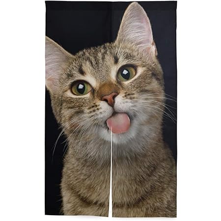 Amazon Chovy のれん 間仕切り おしゃれ 目隠し 遮光 暖簾 ロング 猫 おもしろ 猫柄 ネコ 可愛い かわいい 黒 ブラック 断熱 玄関 キッチン リビング カーテン 部屋 北欧 和風 突っ張り棒付き のれん オンライン通販 Amazon Chovy のれん 間仕切り おしゃれ 目隠し 遮光 暖簾 ロング 猫 おもしろ 猫柄 ネコ 可愛い かわいい 黒 ブラック 断熱 玄関 キッチン リビング カーテン 部屋 北欧 和風 突っ張り棒付き のれん オンライン通販