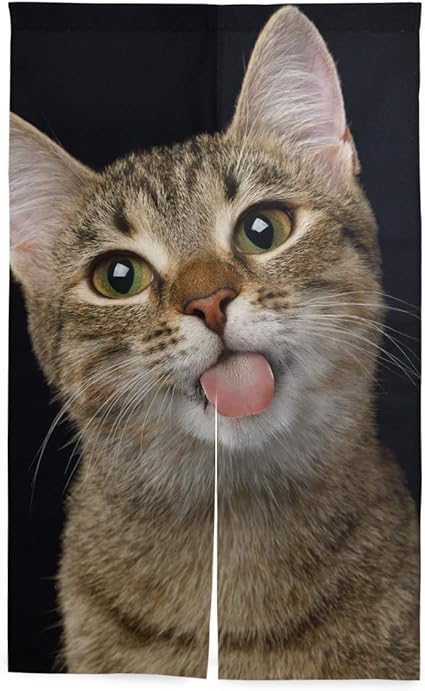 Amazon Chovy のれん 間仕切り おしゃれ 目隠し 遮光 暖簾 ロング 猫 おもしろ 猫柄 ネコ 可愛い かわいい 黒 ブラック 断熱 玄関 キッチン リビング カーテン 部屋 北欧 和風 突っ張り棒付き のれん オンライン通販 Amazon Chovy のれん 間仕切り おしゃれ 目隠し 遮光 暖簾 ロング 猫 おもしろ 猫柄 ネコ 可愛い かわいい 黒 ブラック 断熱 玄関 キッチン リビング カーテン 部屋 北欧 和風 突っ張り棒付き のれん オンライン通販