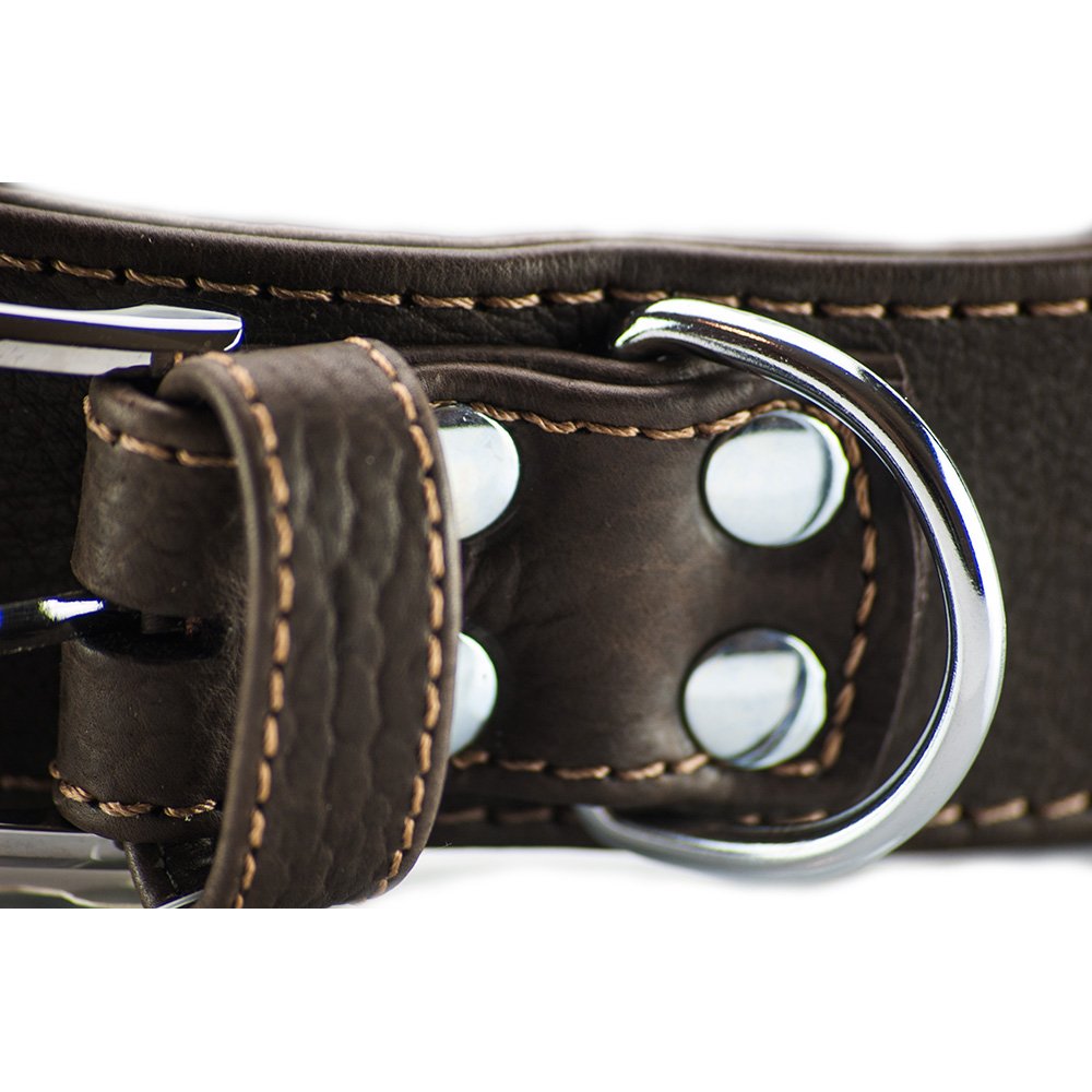 Tibet Eagle Hundehalsband Aus Yak-Leder – Weich, Robust & Bequem, Made In Germany