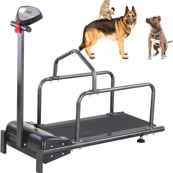 Dog Treadmill, Indoor Exercise Dog Treadmill, Dog slatmill, Dog Treadmill for Medium/Large Dogs, Pet Fitness Equipment, Pet Supplies, Motor 200w