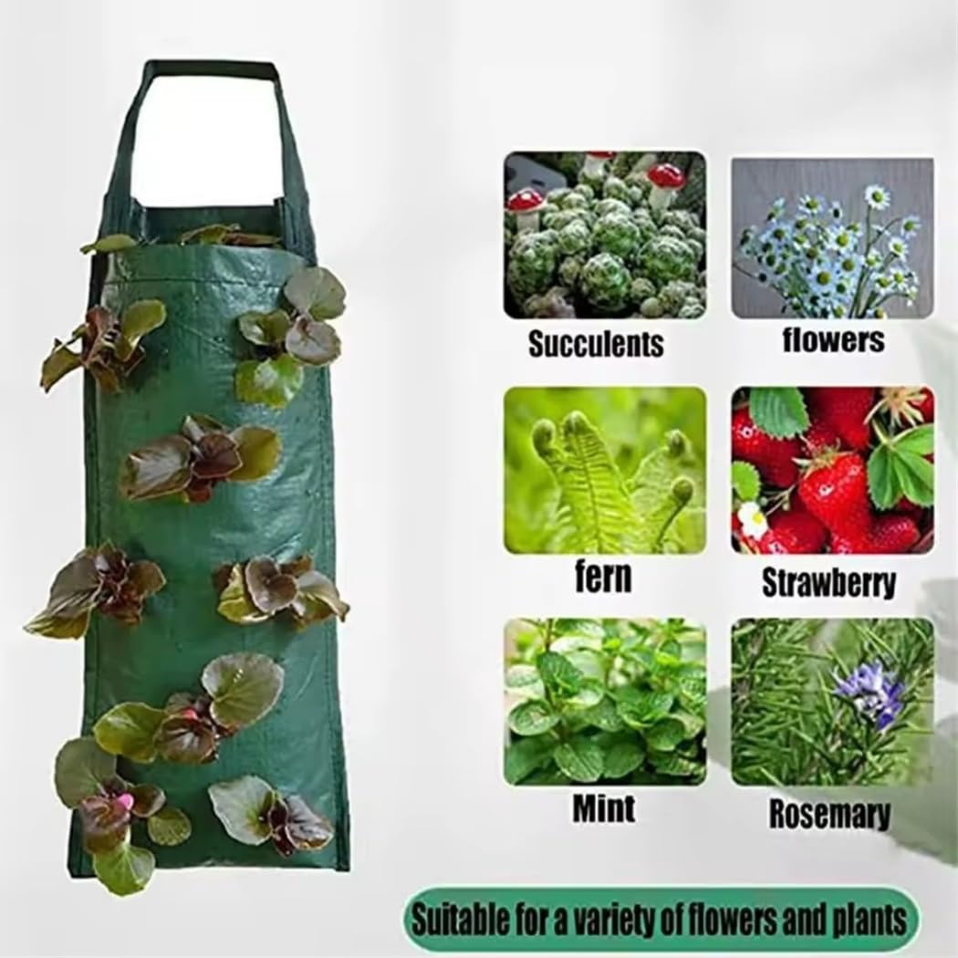 Fioriera sospesa, fioriera da appendere, per fragole, pomodori da giardino, patio, giardino, borse per coltivare piante di fragole, robusto manico da appendere (8 fori, 12 pezzi)