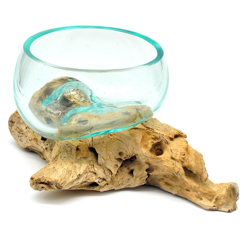 Wurzel mit Glasschale klein Schale Dekoschale Glas auf Holz Durchmesser 12-13 cm Holzdeko Teakholz Deko