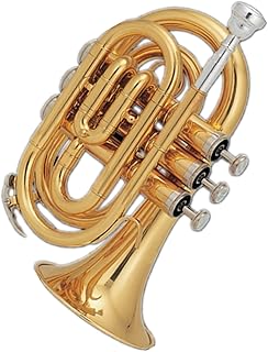 Student Brass Trumpet Trumpets Gold Lacquer Brass Body Tone Bb Pocket Trumpet Professional Musical Instrument