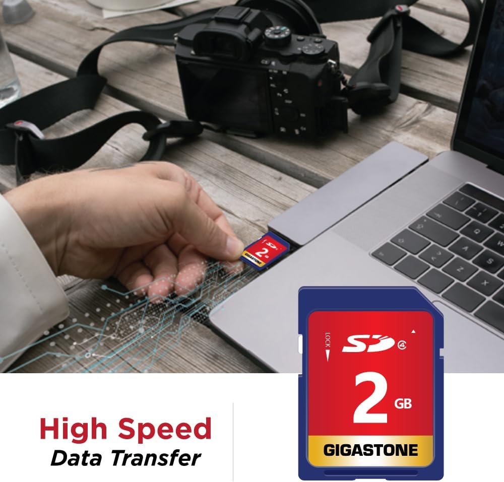 GIGASTONE 2GB SD Card 10-Pack SD Class 4 Memory Card for Photo Video Music Voice File DSLR Camera DSC Camcorder Recorder, with 10 Mini Cases