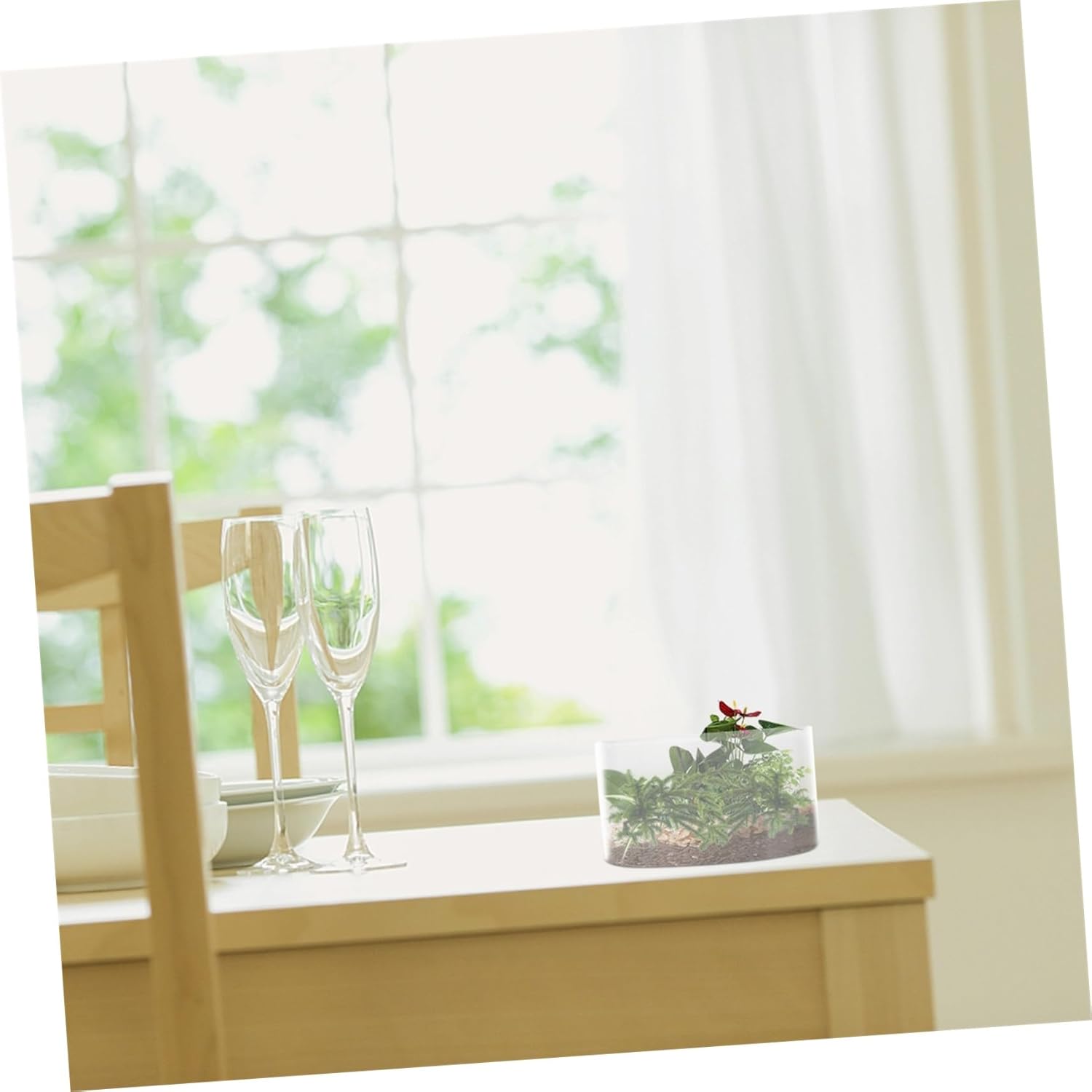 balacoo 3pcs Terrarium Jars for Plants Hanging Terrariums Make up Glass Planter